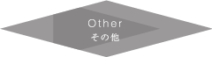 Other その他